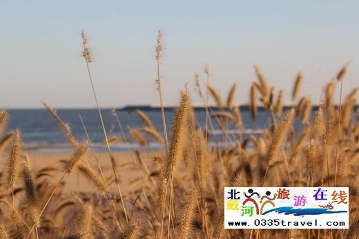 北戴河新區(qū)海景度假酒店