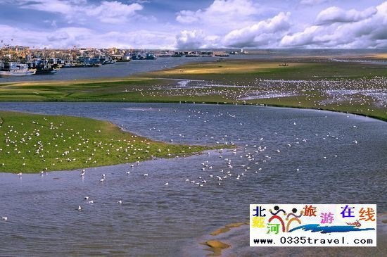 北戴河旅游專家517dujia.com