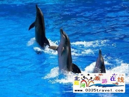 山海關(guān)樂島海洋公園