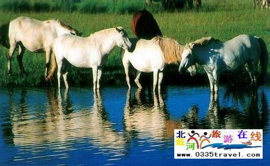 秦皇島野生動物園