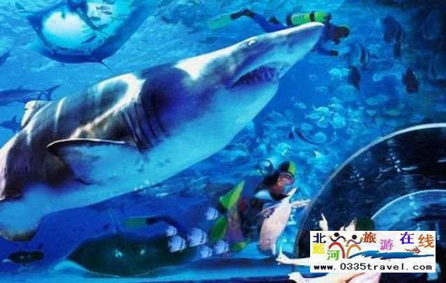 圣藍(lán)皇家海洋公園