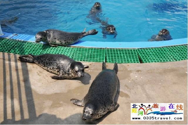 圣藍(lán)皇家海洋公園