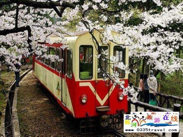 秦皇島人特惠游臺(tái)灣