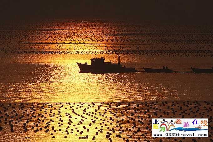 來東戴河您必須做這些事兒