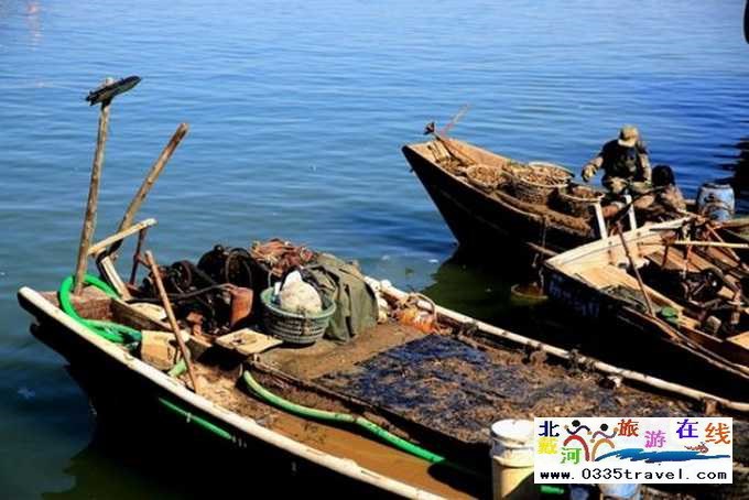 來東戴河您必須做這些事兒