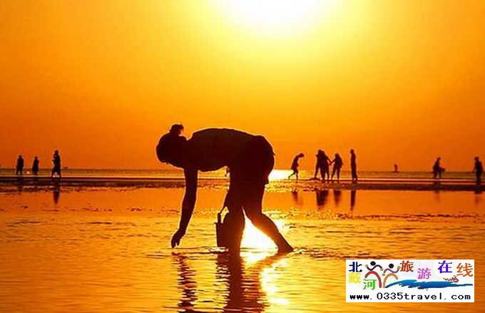 來東戴河您必須做這些事兒