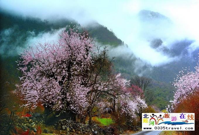 秦皇島至西藏林芝旅游必讀之西藏旅游常見問題解答