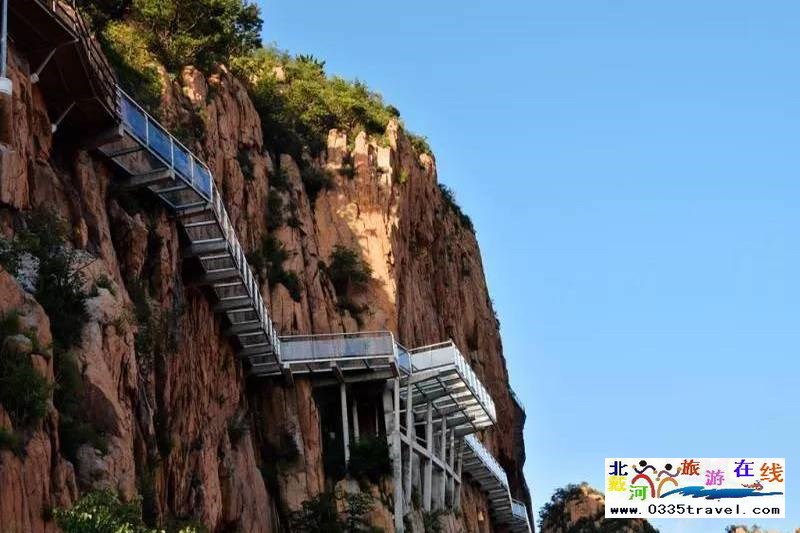 秦皇島龍?jiān)乒龋∩叫闼┚皡^(qū)電話(huà)18633570222 15703350808