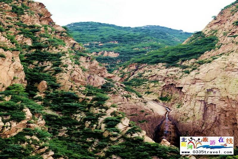 秦皇島龍?jiān)乒龋∩叫闼┚皡^(qū)電話(huà)18633570222 15703350808