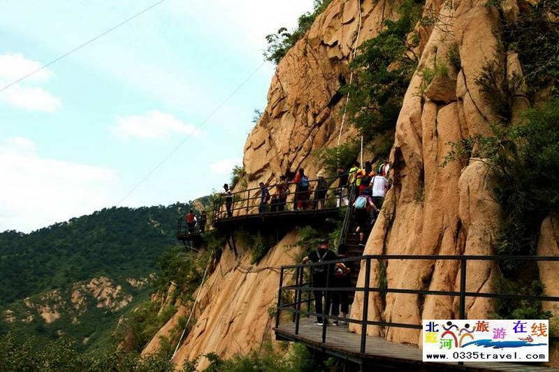 秦皇島龍?jiān)乒龋∩叫闼┚皡^(qū)電話(huà)18633570222 15703350808