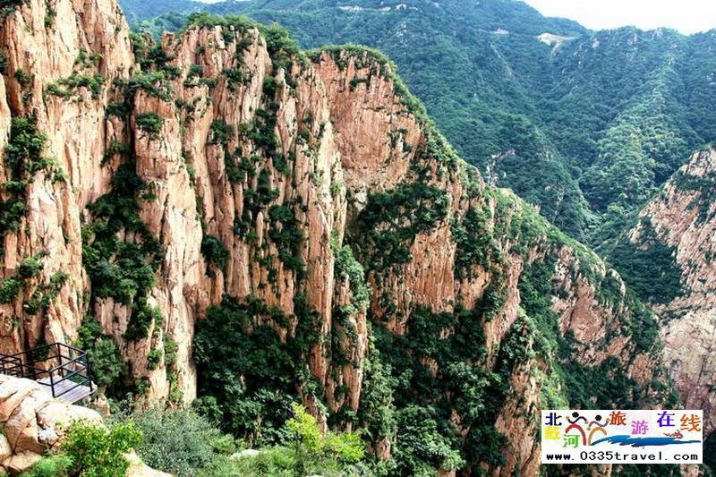 秦皇島龍?jiān)乒龋∩叫闼┚皡^(qū)電話(huà)18633570222 15703350808