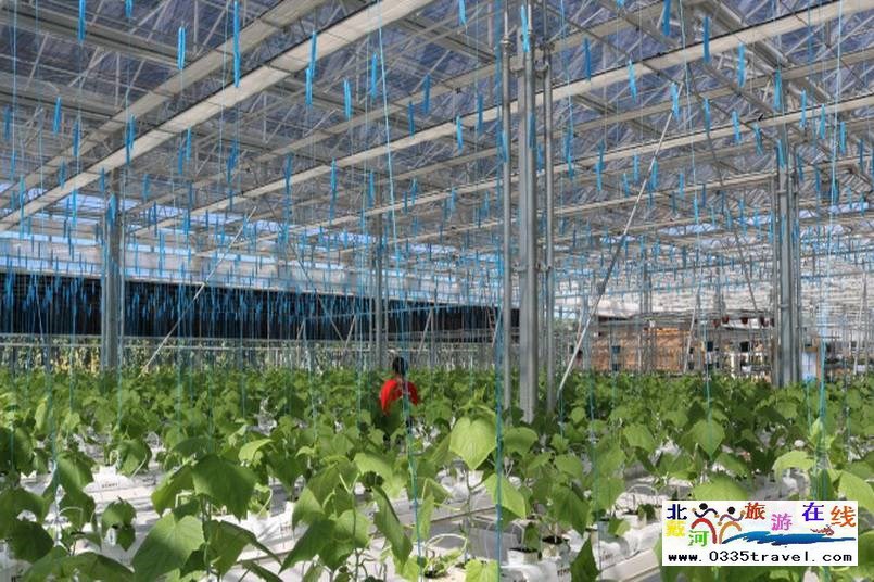 北戴河集發(fā)夢(mèng)想王國(guó)電話(huà)18633570222 15703350808