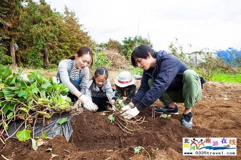 北戴河集發(fā)夢(mèng)想王國(guó)電話(huà)18633570222 15703350808