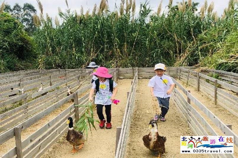 北戴河集發(fā)夢(mèng)想王國(guó)電話(huà)18633570222 15703350808