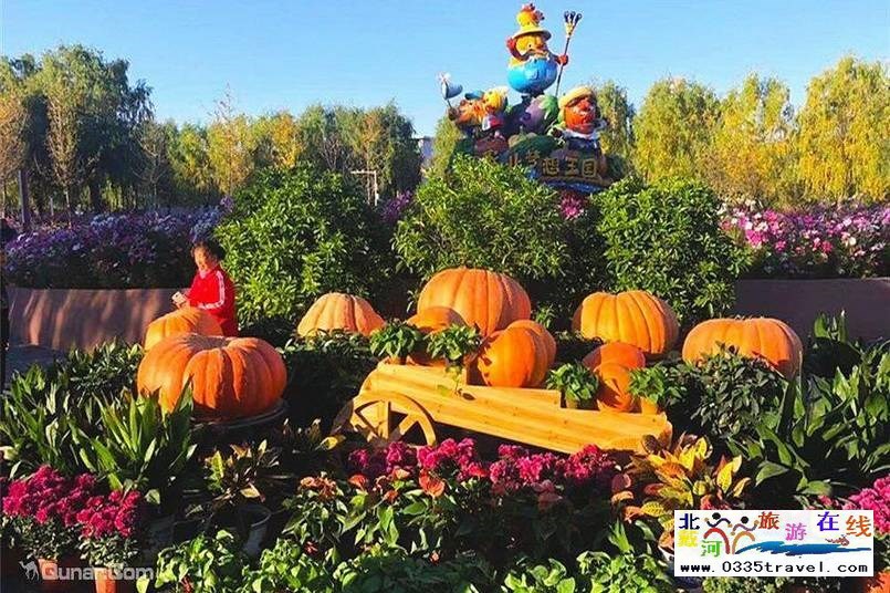 北戴河集發(fā)夢(mèng)想王國(guó)電話18633570222 15703350808