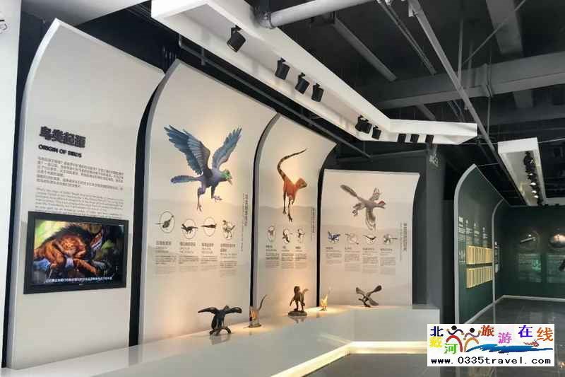 秦皇島北戴河鳥類博物館