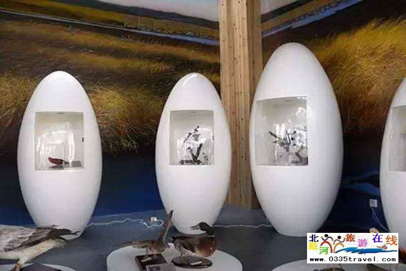 秦皇島北戴河鳥類博物館