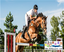 [秦皇島] 秦皇島北戴河超硬核馬術(shù)俱樂(lè)部集錦——兒童馬術(shù)課程：英倫國(guó)際馬術(shù)俱樂(lè)部、仁軒馬術(shù)俱樂(lè)部、阿那亞馬會(huì)