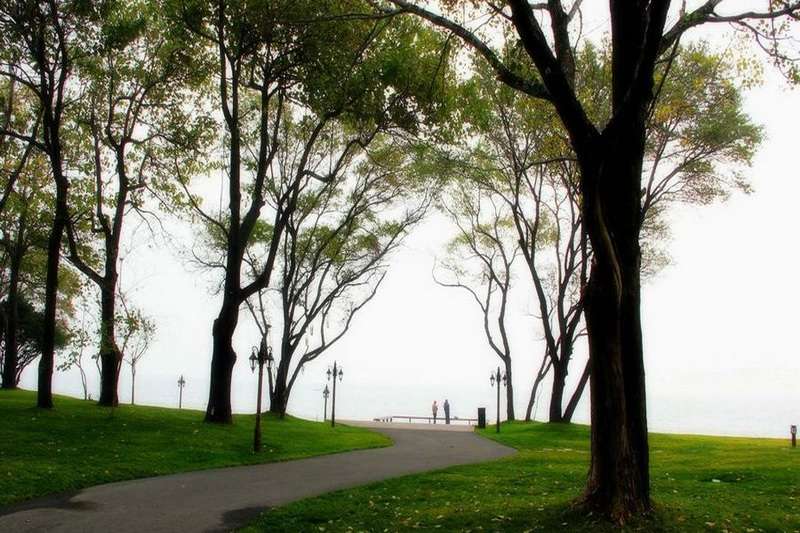 秦皇島北戴河草坪教堂高端婚禮現(xiàn)場(chǎng)推薦：秦皇島西港花園——海誓花園18633570222