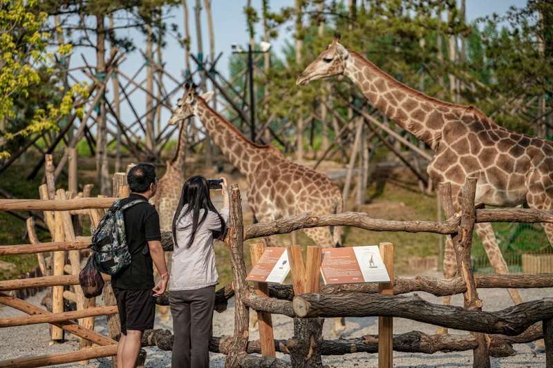 北戴河漁田小鎮(zhèn)七里海度假區(qū)-萬(wàn)得瀾度假酒店&七里宿集民宿 北戴河漁田小鎮(zhèn)七里海度假區(qū)-萬(wàn)得瀾度假酒店&七里宿集民宿