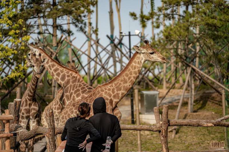 北戴河漁田小鎮(zhèn)七里海度假區(qū)-萬(wàn)得瀾度假酒店&七里宿集民宿 北戴河漁田小鎮(zhèn)七里海度假區(qū)-萬(wàn)得瀾度假酒店&七里宿集民宿